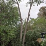 IMG_20231008_111104