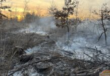 Waldbrand in Strasshof