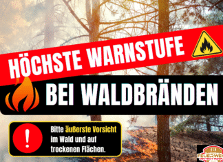 Waldbrandgefahr