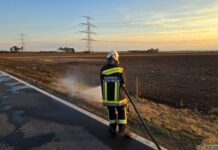 Vegetationsbrand